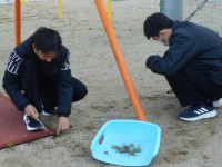 DSCN2934