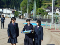 DSCN2943