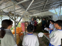 image10