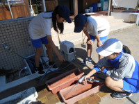 DSCN0013